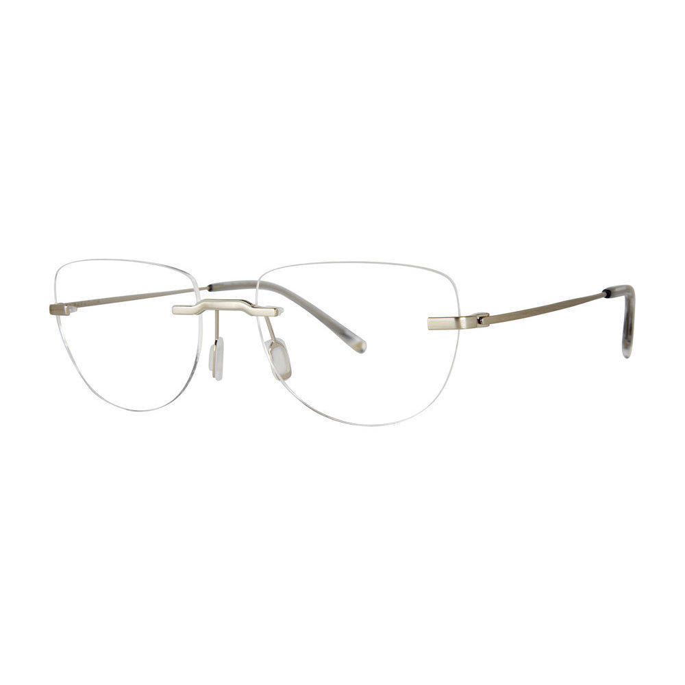 Paradigm Hoffman Eyeglasses Silver 53mm